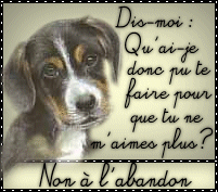 non à l'abandon